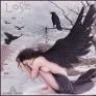 raven1972