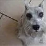alejandroopy