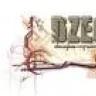dzeg