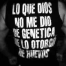 kbrito_22