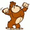 kashorron