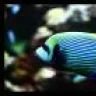luigita79