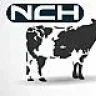 nch