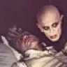 nosferatu85