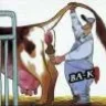 gorrion22