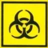 ebola2