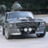 shelby69