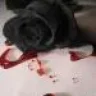 Bloody Rose_9