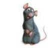 cachorro_psico