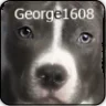 george1608