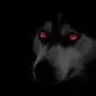 Lobito08