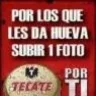 woibea
