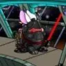 Lord Conejo