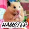 licHamster