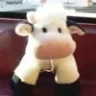 minivaca
