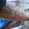 fredy ivan