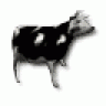 cowsha
