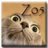 zippo05