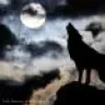 Rx-wolf