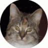 cheshireCat