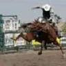 cowboyd77