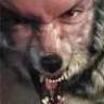 lobo_alfa