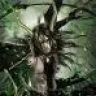 yukai86