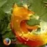 firefox832009