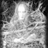 Occulta Lec