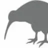 il kiwi
