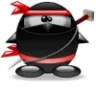 Ninja Style