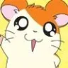 hamtaro11