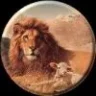 leon 55