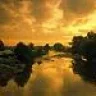 Nive