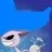 Yish