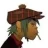 pock_rop