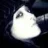 ladytron21