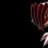 westlost7