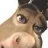 diegoquin