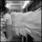 No_Wings