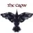 eddycrow