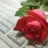 majid16367