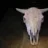 Metal Cow