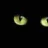 el gato negro