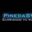 PinedaSVR