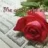 mistery2234