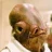 Ackbar