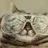 Djpowercat