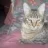keric