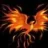 edfenix